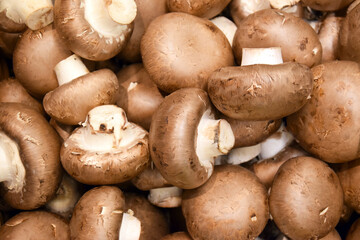 Lots of mushrooms on the market counter.