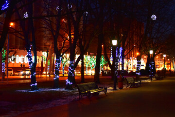 Showcase lights and Christmas lights on tree tops.