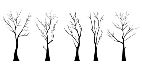 bare dead tree silhouette. isolated on white background. vector illustration - obrazy, fototapety, plakaty