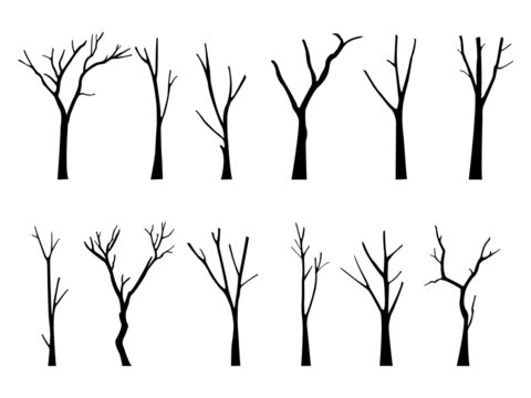 bare dead tree silhouette. isolated on white background. vector illustration