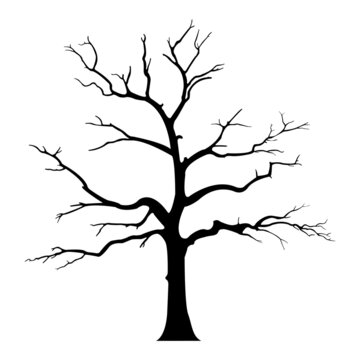 bare dead tree silhouette. isolated on white background. vector illustration
