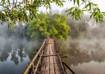 Fototapeta premium morning on the river