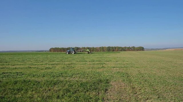harvesting green fodder in the field