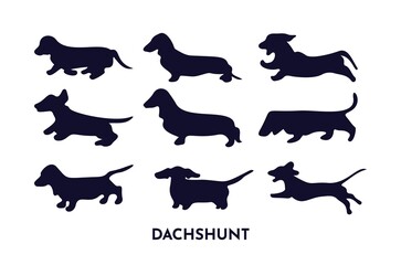 Set of dachshund silhouettes in different poses running, sitting, playing. Vector black illustration.