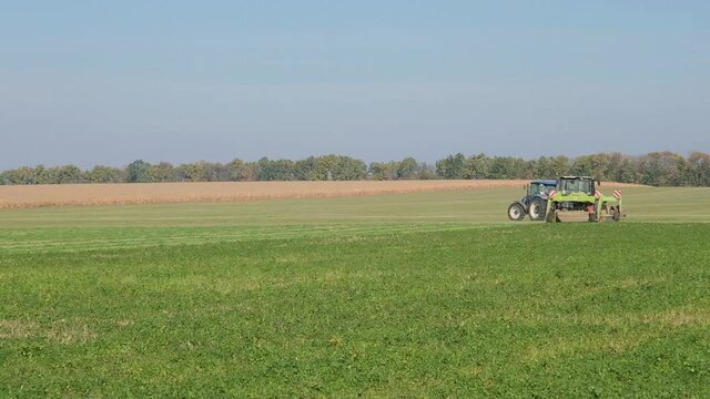 harvesting green fodder in the field