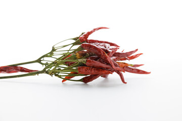 Obraz premium 唐辛子 赤唐辛子