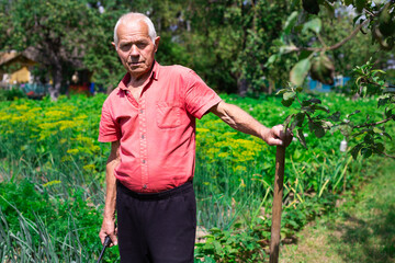 Fototapeta premium man farmer resting and posing in the vegetable garden at the manor