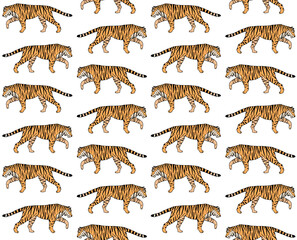 Vector seamless pattern of hand drawn doodle sketch colored tiger isolated on white background