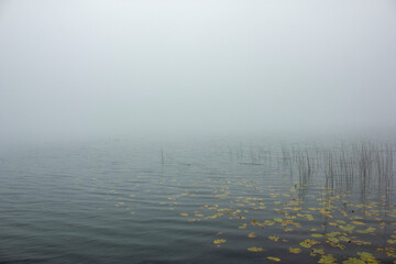 misty morning on the lake abant