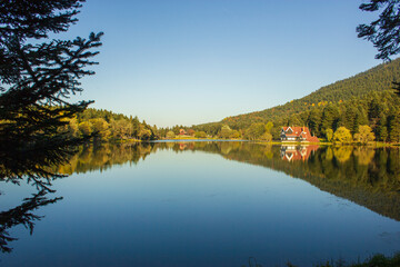 Fototapeta na wymiar reflection of trees in the lake golcuk