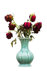 withered roses in a light green vase on a white background