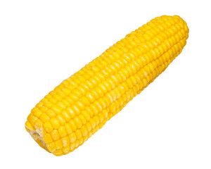 Sweet yellow corn natural isolated on the white background
