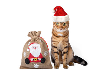 Cat in a red christmas hat with a bag of gifts isolated on white background