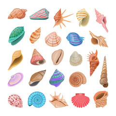 Collection of colorful realistic seashells.