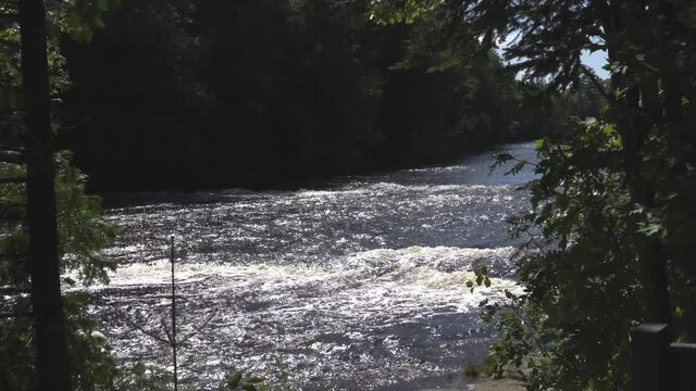River from a waterfall in northern Michigan; medium long view of river between green trees, sunlight on the rushing water. 
