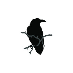 Black silhouette of the raven