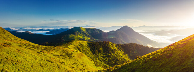 Splendid mountain valley is covered with fog on a sunny day with green alpine meadows. Carpathian...