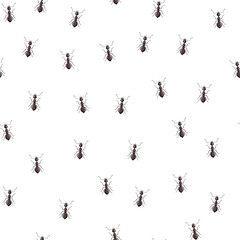 Seamless pattern colony ants on white background. Vector insects template in flat style for any purpose. Modern animals texture.