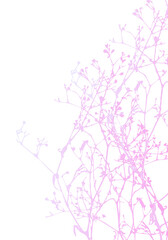 pastel plants on white background