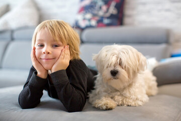Cute blond child, toddle boy, watching TV with his pet maltese dog