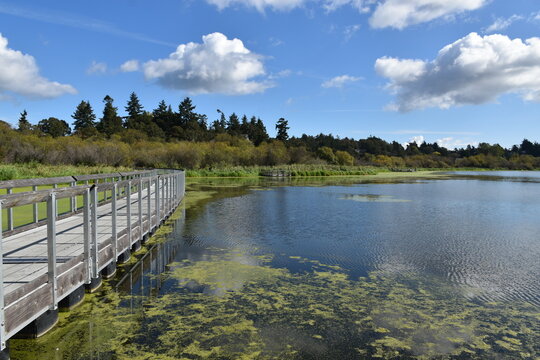 Swan lake, Saanich, Vancouver Island, BC, Canada
