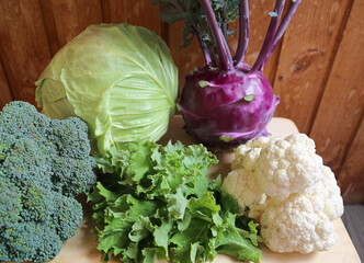  Five grades of cabbage: kale; broccoli; kohlrabi; cauliflower; white cabbage