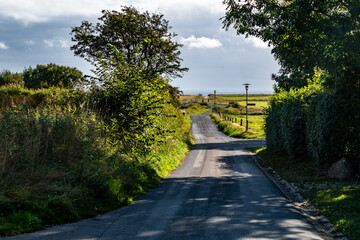 Traumstraße zu Föhr