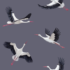 Hand painted seamless pattern with storks