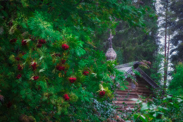 Russian wooden architecture, a small church in a rainy forest. Republic of Karelia Russia
