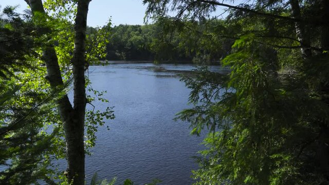 View of a blue river through a parting in the trees; northern Michigan; late afternoon in late summer. 