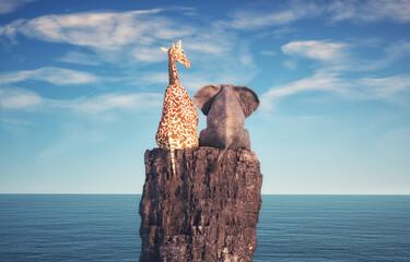 Elephant and a giraffe sitting on a rock © Mihaela