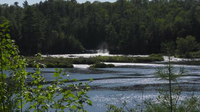 River moving past dense tree growth and inlets of a northern river in late afternoon sunlight. Front, long view. 