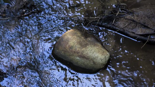 Brown stone in the middle of a pool of water, a small creek with sunlight shining on the water. Close up.