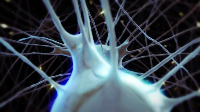 Flying through the human nervous system close to pulsing nerve cells between axons with synapses and moving impulses. Science and neurobiology 3d concept with learning and brain activity processes.