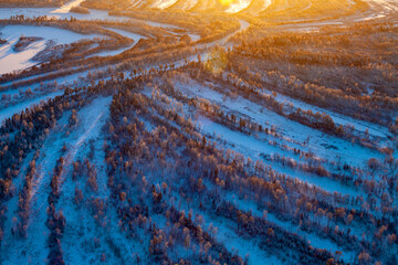 Aerial view of winter forest in river floodland