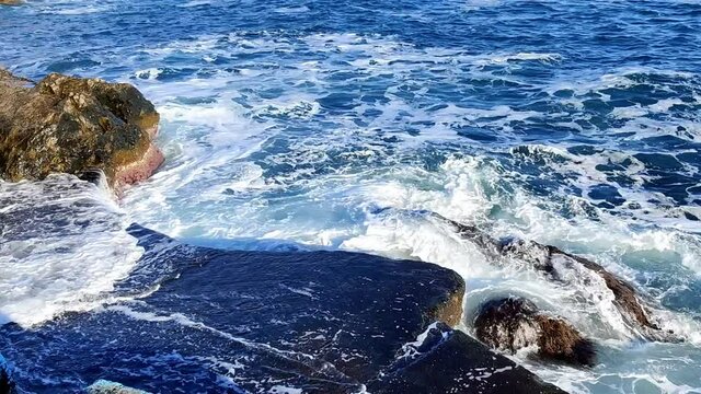 Storm at sea. The blue sea with white foam noisily washes the rocks overgrown with algae on a bright sunny day