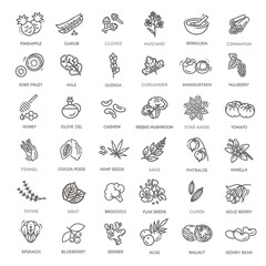 Superfoods line vector icons. Vector Organic superfoods