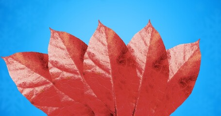 Close-up of red autumn leaves against blue background with copy space