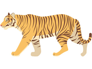 歩くリアルな虎のイラスト