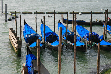 Fototapeta premium Gondolas docked in a row near the pier Venice, Italy.