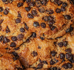 Chocolate cookie as a textured background. Wallpaper.  Brown Chocolate chip cookies top view.