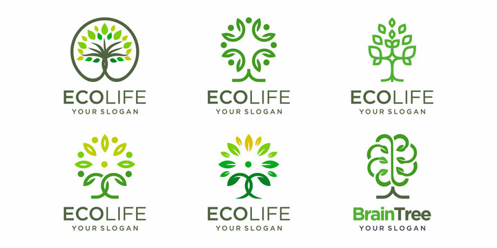 tree logo icon set. abstract tree combined people Concept Logo Design Template.