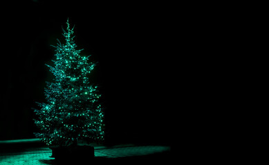 Weihnachtsbaum mit grüner Lichterkette vor dunklem Hintergrund