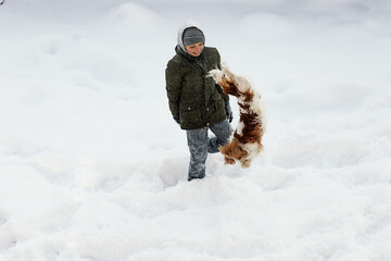 Fototapeta na wymiar Boy pet owner training dog among snow in winter, dog jumping. Cavalier King Charles Spaniel, childhood, friendship, companion.