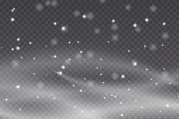 Realistic falling snowflakes isolated on transparent background. Falling Christmas snow. Cold winter wind texture