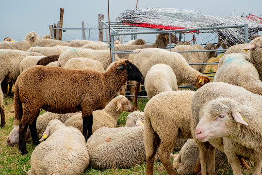 567 gresse en vercors