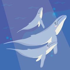 baby whales poster © Jeronimo Ramos