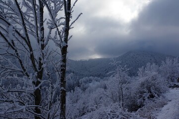 Le Bessat sous la neige