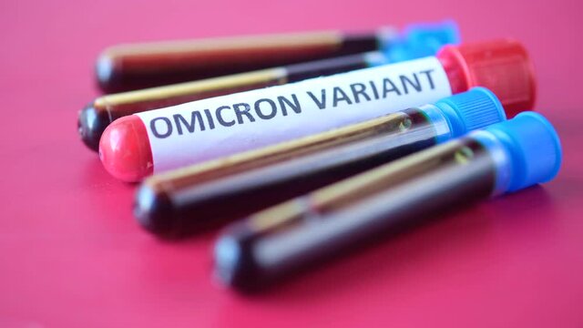 omicron variant corona virus blood test tube on red background 