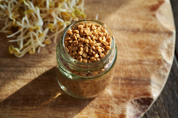 Fenugreek seeds in a glass jar, with fresh fenugreek seeds in the background